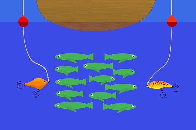 fishing, river, lake, nature, angling, outdoors