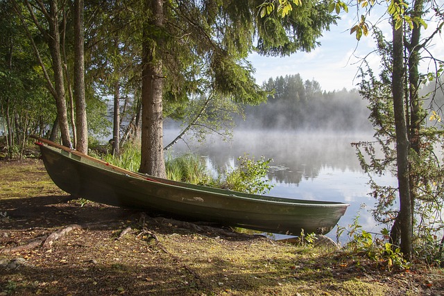 fishing, river, lake, nature, angling, outdoors