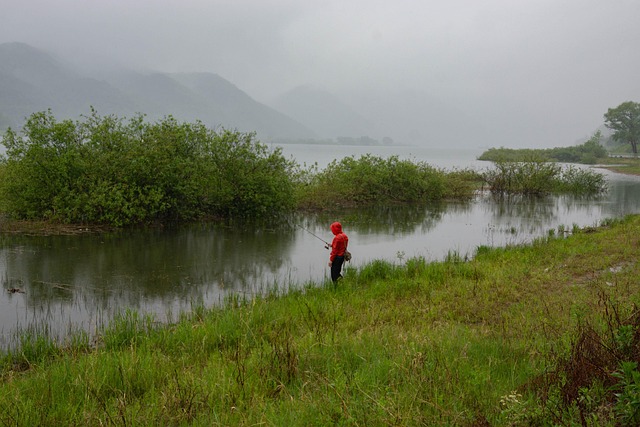 fishing, river, lake, nature, angling, outdoors