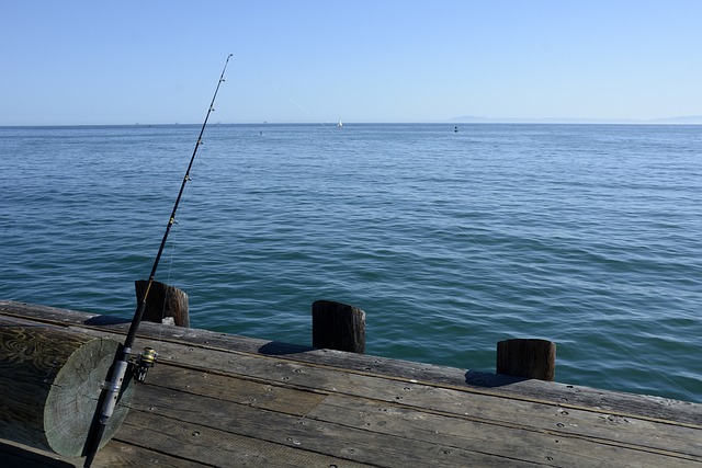 Fishing, Rivers, Lakes, Nature, Outdoors, Angler