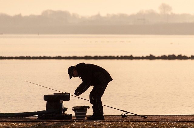 Fishing, Rivers, Lakes, Nature, Outdoors, Angler