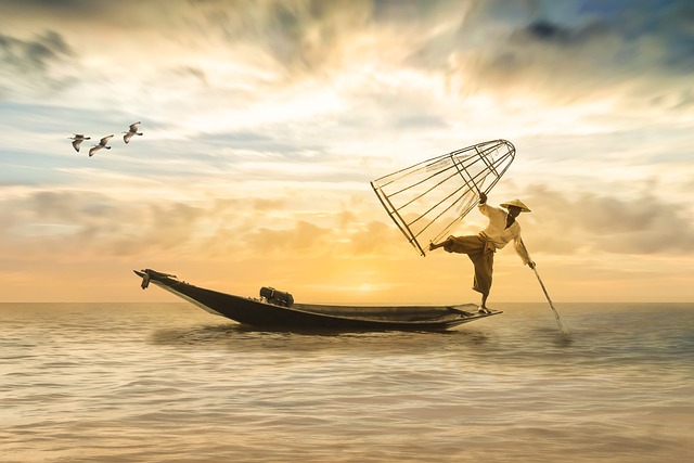 Fishing, Rivers, Lakes, Nature, Outdoors, Angler
