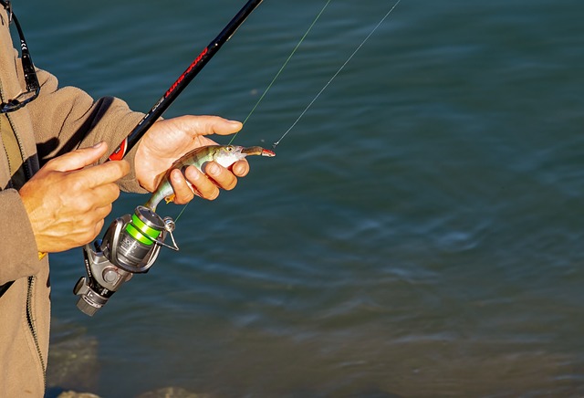 fishing-rivers-lakes-nature-outdoors-ang-640x480-88448962.jpeg