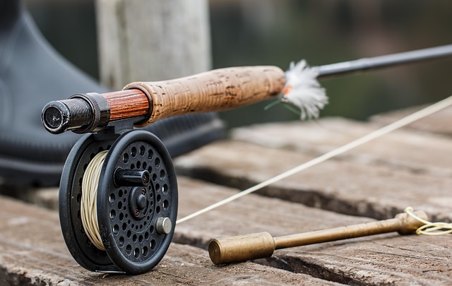 fishing, urban, lakes, gear, nature, trout