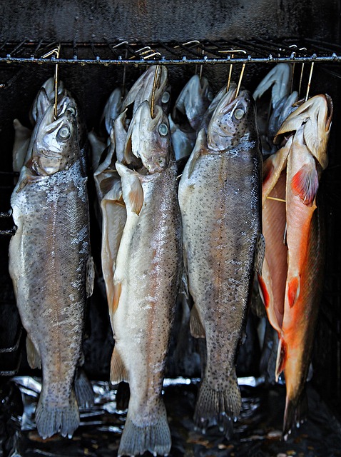 fishing-urban-lakes-gear-nature-trout-640x480-11577530.jpeg