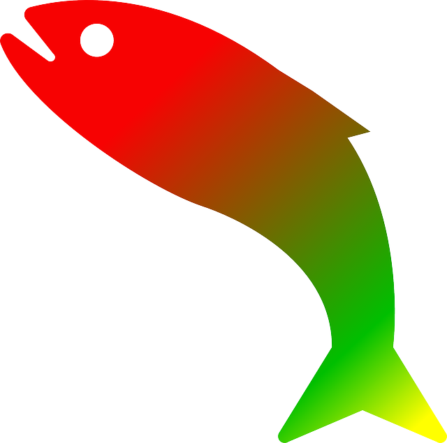 fishing, urban, lakes, gear, nature, trout