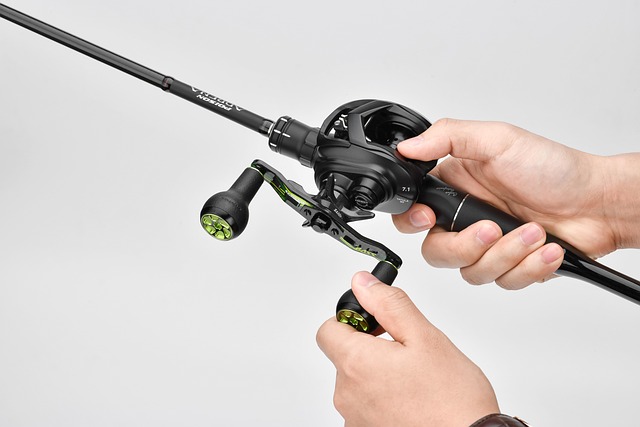 fishing, urban, lakes, gear, nature, trout