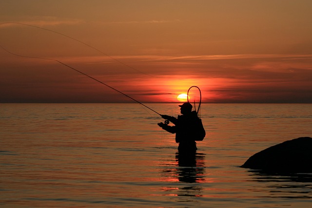 fishing-urban-lakes-gear-nature-trout-640x480-27633265.jpeg