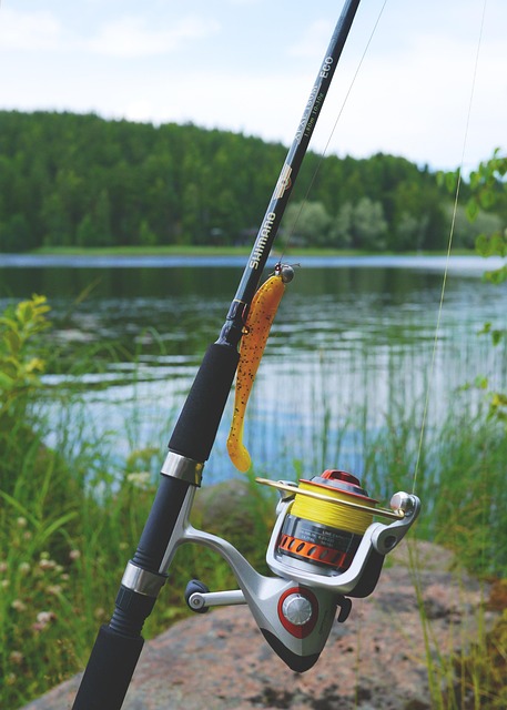 fishing, urban, lakes, gear, nature, trout