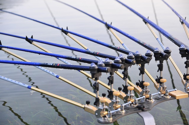 fishing-urban-lakes-gear-nature-trout-640x480-45126729.jpeg