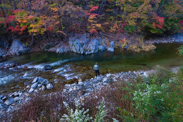 fishing, urban, lakes, gear, nature, trout