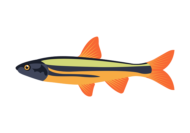 fishing-urban-lakes-gear-nature-trout-640x480-64710146.png