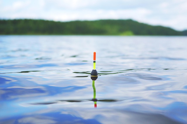 fishing, urban, lakes, gear, nature, trout