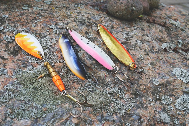 fishing, urban, lakes, gear, nature, trout