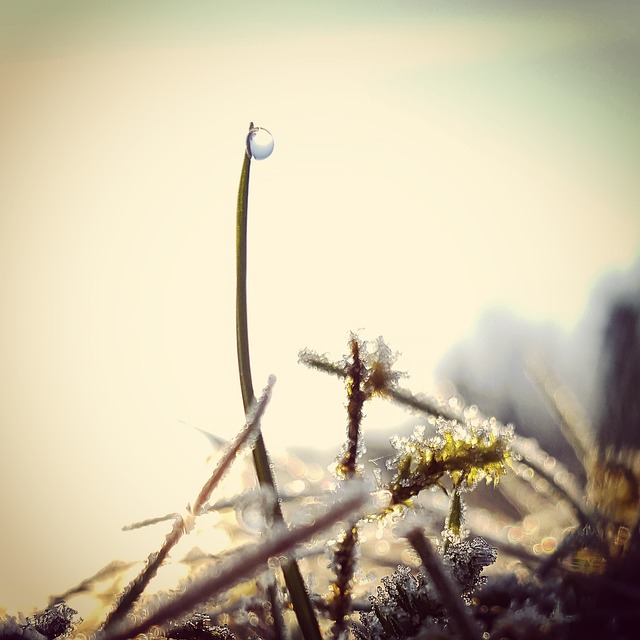 freeze
