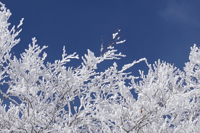 freeze