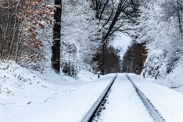frost