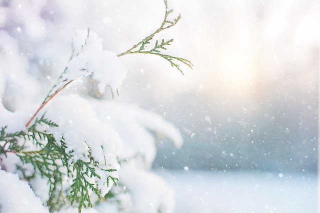 frost