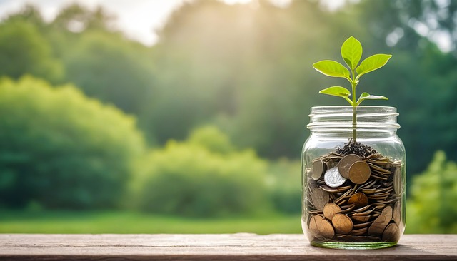 Navigating Risk Management in Funding for Seasonal Business Cycles