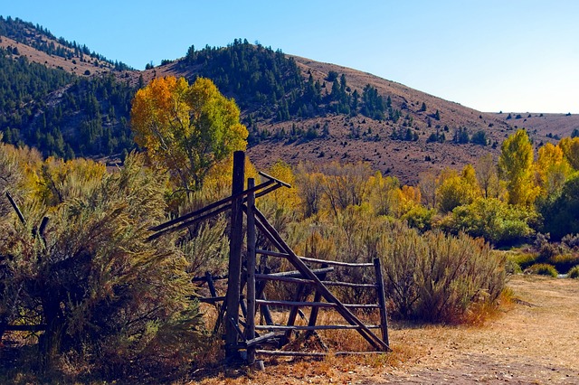 gold, mining, prospectors, boomtown, Oregon, history