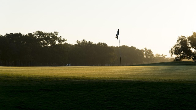Golf, course, green, fairway, clubs, outdoors