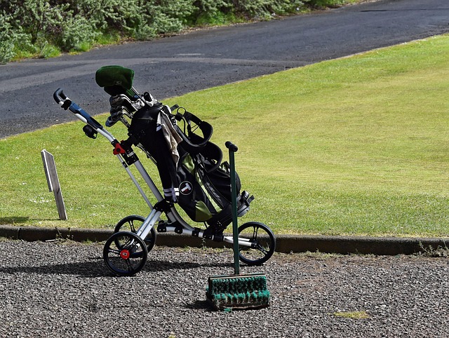 Golf, course, green, fairway, clubs, outdoors