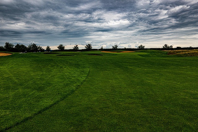 Golf, course, green, fairway, clubs, outdoors