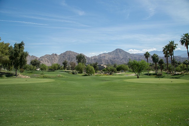 Golf, course, green, fairway, clubs, outdoors
