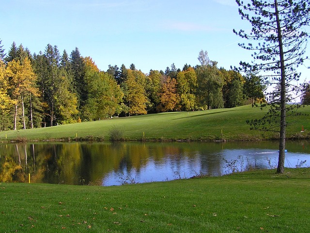 Golf, course, green, fairway, clubs, outdoors