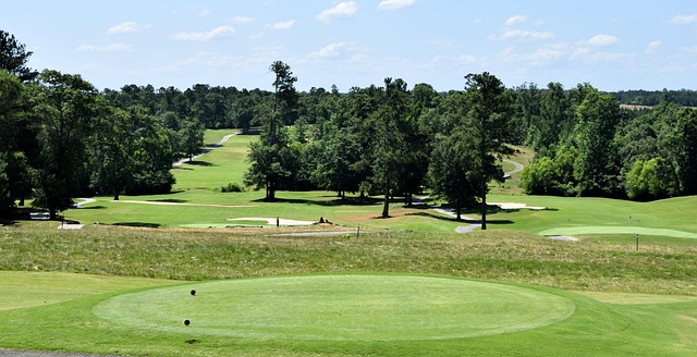 Golf, course, green, fairway, clubs, outdoors