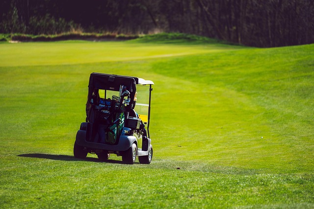Golf, course, green, fairway, clubs, outdoors