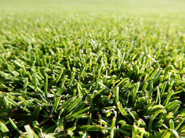 golf-course-green-fairway-clubs-outdoors-640x480-53389593.jpeg