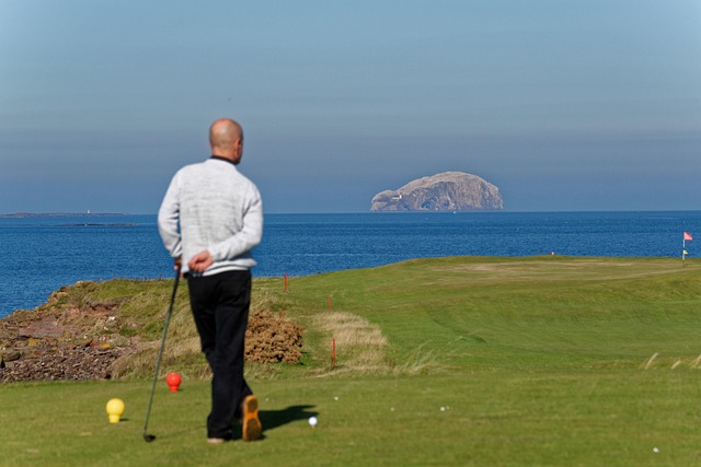 Golf, course, green, fairway, clubs, outdoors