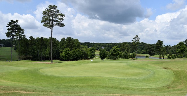 Golf, course, green, fairway, clubs, outdoors