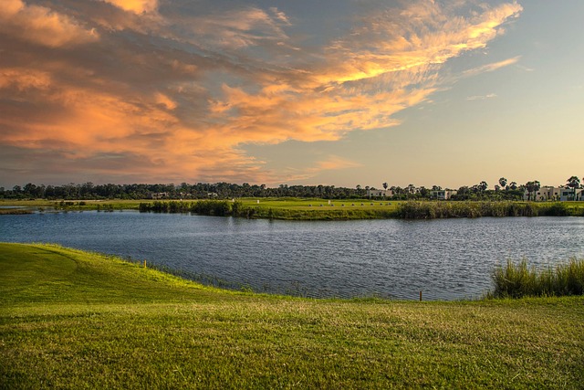 Golf, course, green, fairway, clubs, outdoors