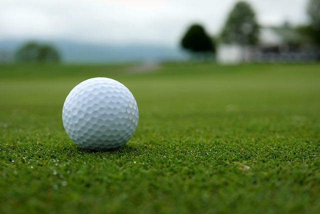 Golf, course, green, fairway, clubs, outdoors