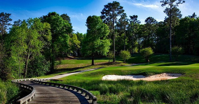 Golf, course, green, fairway, clubs, outdoors