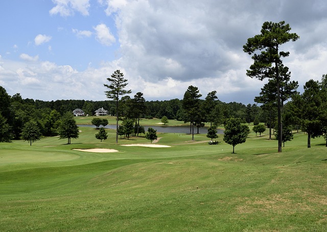 Golf, course, green, fairway, clubs, outdoors