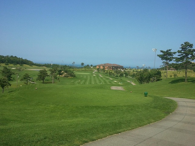 Golf, course, green, fairway, clubs, outdoors