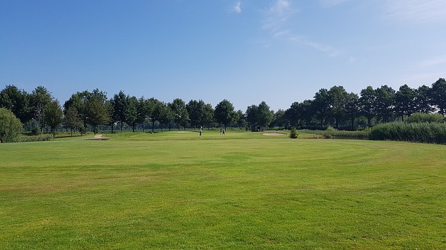 Golf, course, green, fairway, clubs, outdoors