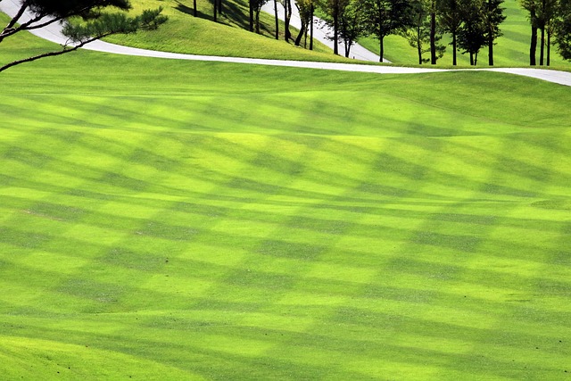 Golf, course, green, fairway, clubs, outdoors