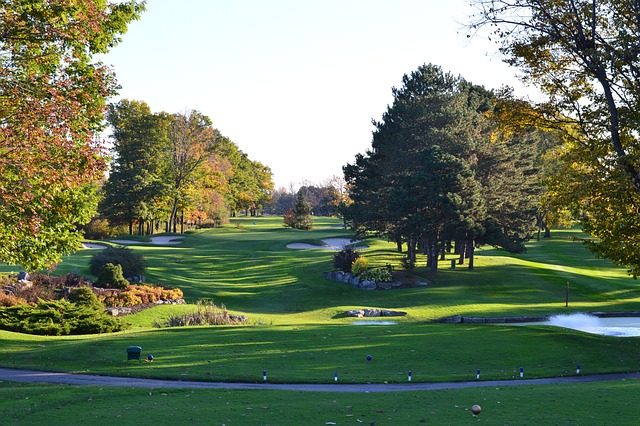 golf, Oregon Ducks, Oregon, course, swing, athlete