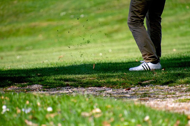 golf, Oregon Ducks, Oregon, course, swing, athlete
