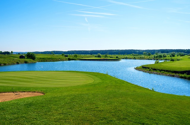 golf, Oregon Ducks, Oregon, course, swing, athlete