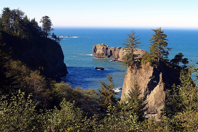 golf, Oregon Ducks, Oregon, course, swing, athlete