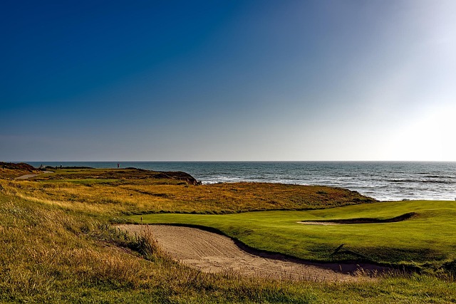 golf, Oregon Ducks, Oregon, course, swing, athlete