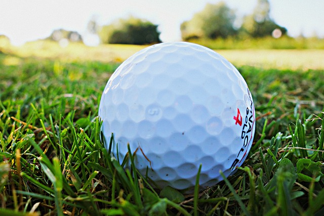 golf, Oregon Ducks, Oregon, course, swing, athlete