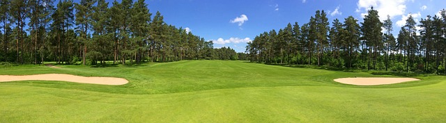 golf, women, Oregon Ducks, Oregon, course, club