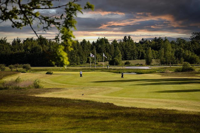golf, women, Oregon Ducks, Oregon, course, club