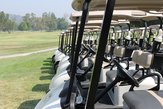 golf, women, Oregon Ducks, Oregon, course, club